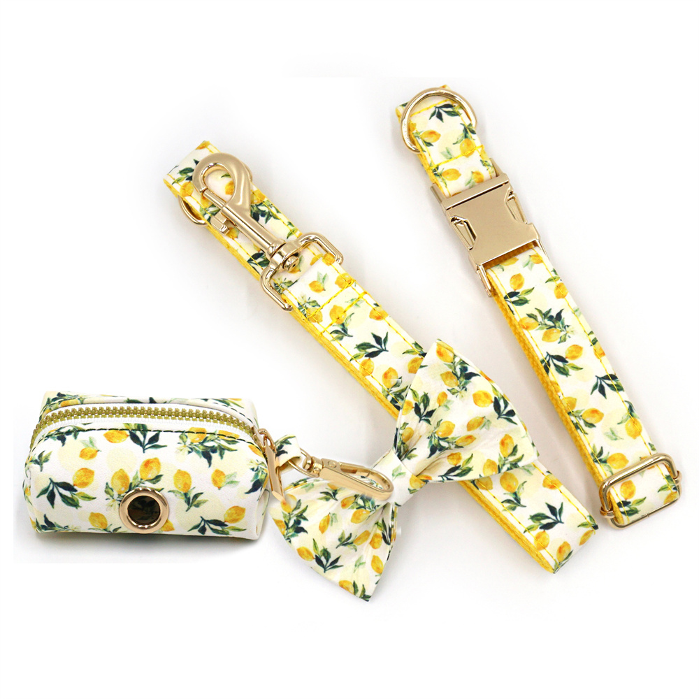 Luxury Bags Medium Size - Personalized Pet Collar for Cats Small
